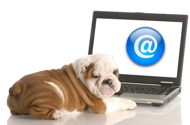 Emails Not Working