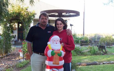 Avenue lights up for the festive season