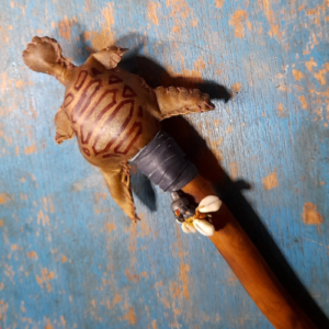 Turtle Rattle with Shells