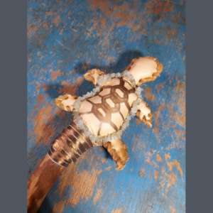 Turtle Rattle with Aquamarine