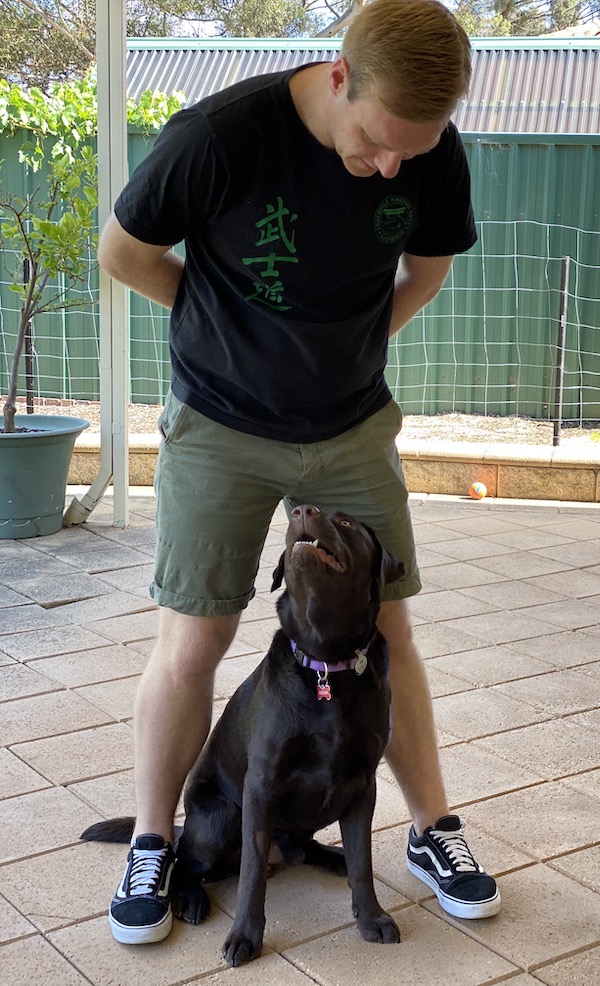 Behavioural training 2