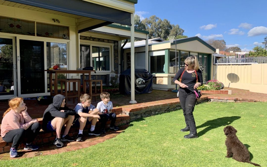 TALKING DOG WITH TAMARA