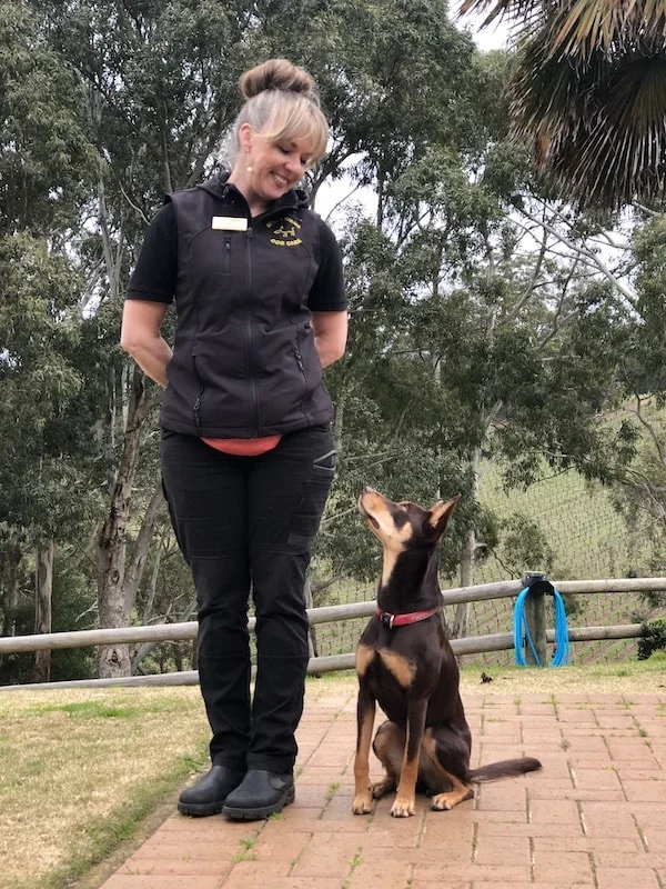 Tamara Tamara L Di Santo - Principal - Best Friend Dog Care