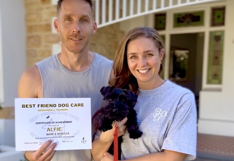 PUPPY  TRAINING & EDUCATION