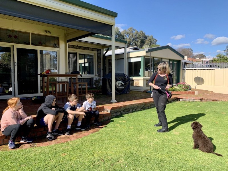 Family puppy training Family puppy training